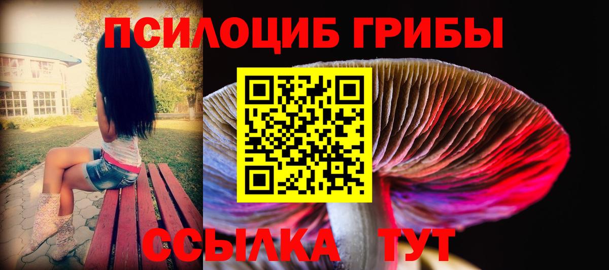 Галлюциногенные грибы мухоморы  Псилоцибиновые грибы мицелий  Новокузнецк  Вход с VPN 