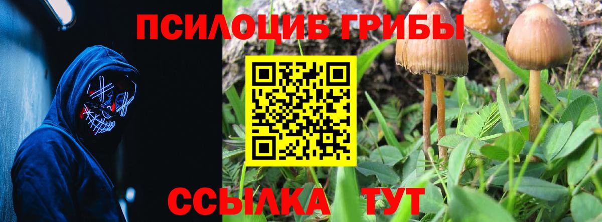 Галлюциногенные грибы Magic Shrooms Новокузнецк